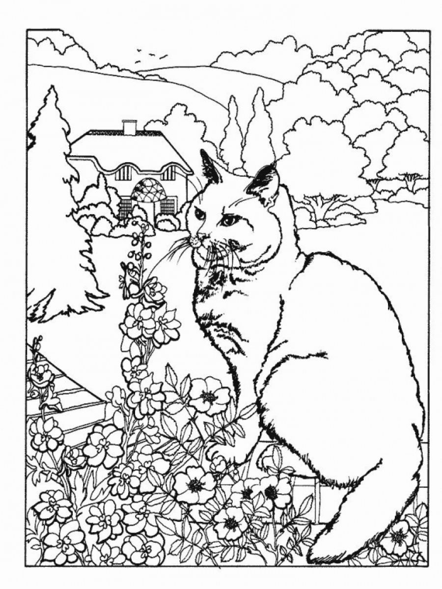 Cat Coloring Pages For Adults - Part 3